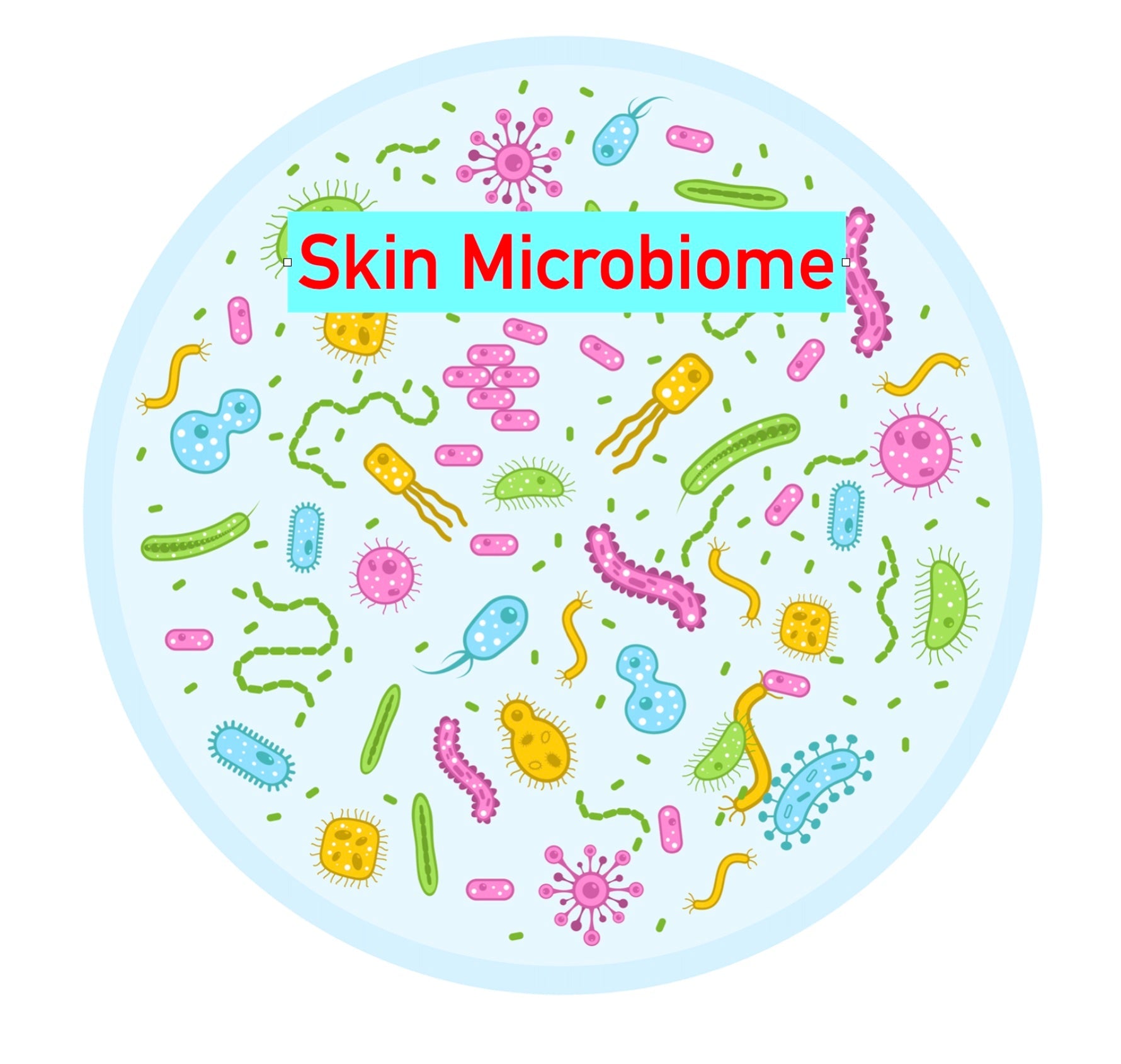 Skin Microbiome: How to Preserve, Support, and Restore