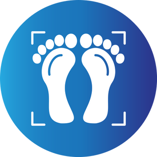 foot and legs