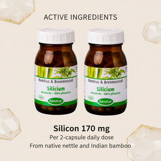 Sanatur Silicium product with active ingredient information